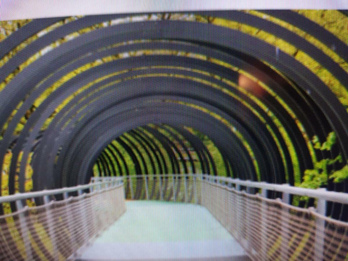 Fewofaubelcentro 42 & 54 & 62 M2 Oberhausen  Bagian luar foto